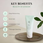 "Beauty of Joseon Green Plum Refreshing Cleanser, 100ml, in elegant packaging, perfect for hydration and exfoliation."