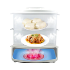Electric Steamer and Defroster – Multi-Functional Appliance for Quick Steaming and Defrosting Food